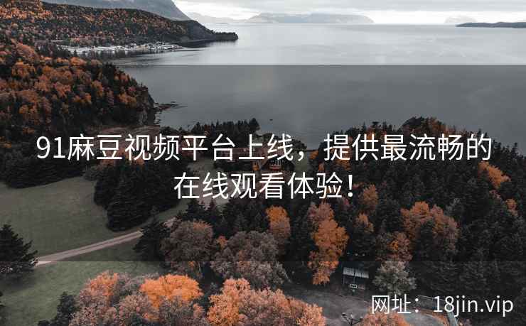 91麻豆视频平台上线，提供最流畅的在线观看体验！