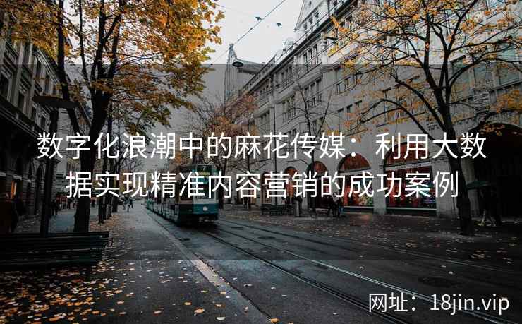 数字化浪潮中的麻花传媒：利用大数据实现精准内容营销的成功案例