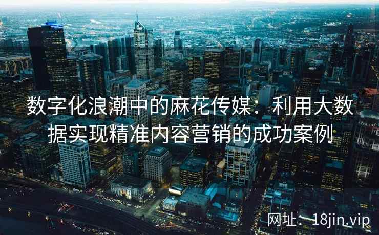数字化浪潮中的麻花传媒：利用大数据实现精准内容营销的成功案例