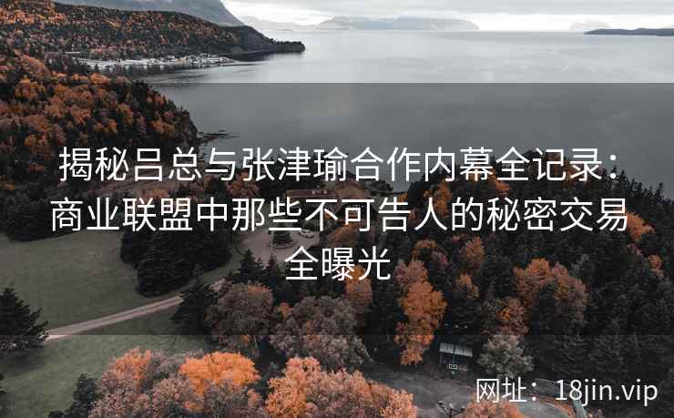 揭秘吕总与张津瑜合作内幕全记录：商业联盟中那些不可告人的秘密交易全曝光